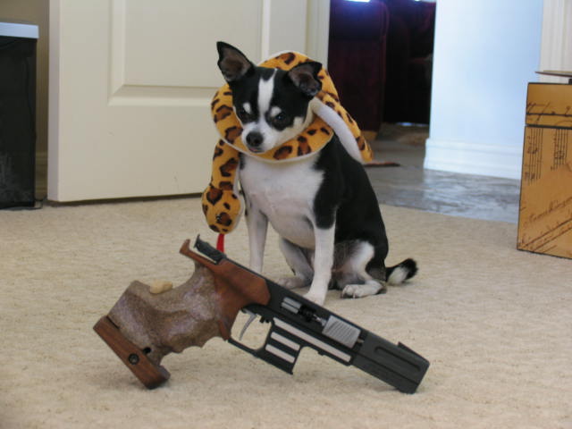 Benson,the snake killer, withhis newly renovated &amp;quot;snake pistol&amp;quot;