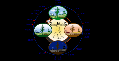 Circadian rythm