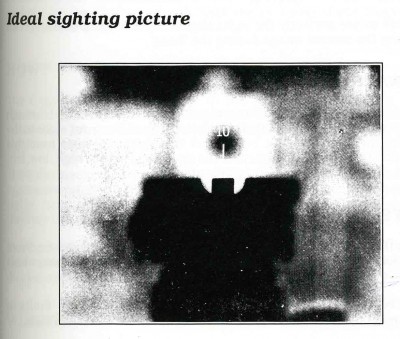 sighting picture copy.jpg