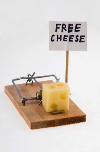 Free Cheese.jpg